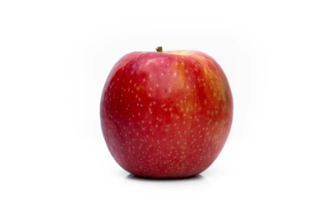 Apple a încheiat tranziția: toate iPad-urile au acum cameră pe orizontală