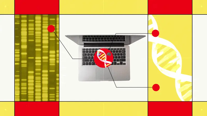 Revoluție în genetică: Cercetătorii pot vorbi direct cu ADN-ul
